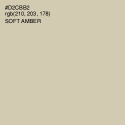#D2CBB2 - Soft Amber Color Image